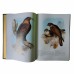 Птицы Австралии. Гульд Дж. Подарочная книга в кожаном перепелете